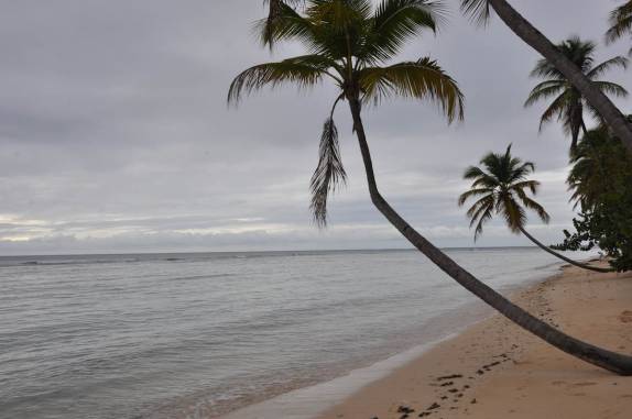 Bela praia no caminho para Pigeon Point, em Crown Point - Tobago
